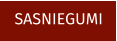 SASNIEGUMI