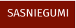 SASNIEGUMI