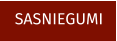 SASNIEGUMI