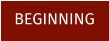 BEGINNING